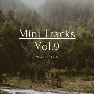 Mini Tracks, Vol. 9