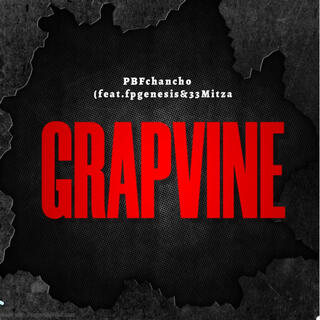 grapevine