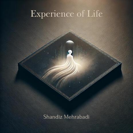 Experience of Life