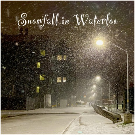 Snowfall in Waterloo