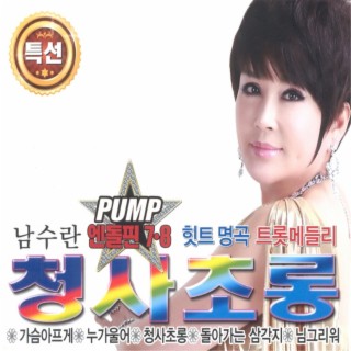 Pump 엔돌핀 7,8집 - 청사초롱