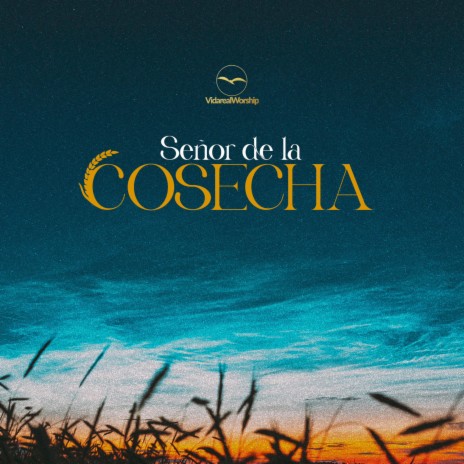 Señor De La Cosecha | Boomplay Music