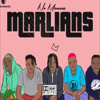 Marlians Afrobeat instrumental