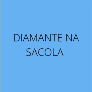 DIAMANTE NA SACOLA