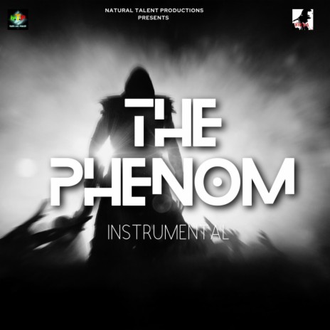 THE PHENOM INSTRUMENTAL