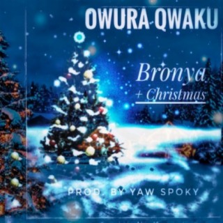 Bronya + Christmas