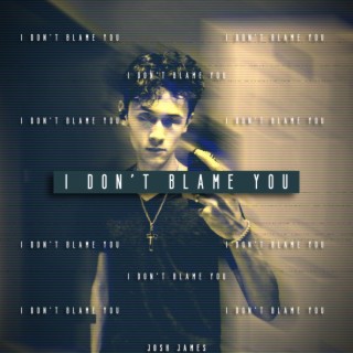 I Don't Blame You lyrics | Boomplay Music