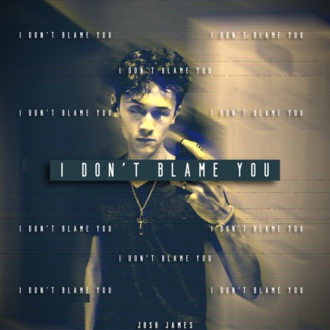 I Don't Blame You