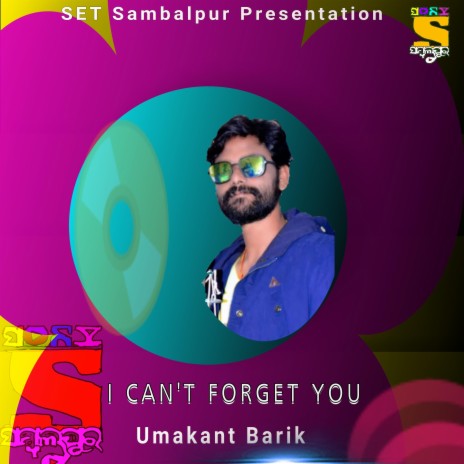I CAN'T FORGET YOU | Boomplay Music