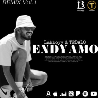 Endyamo, Vol. 1 (Remix version)