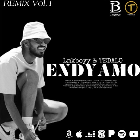 Endyamo, Vol. 1 (እንዲያሞ Remix version) ft. Tedalo, Abraham Afwerki & Yemane Barya | Boomplay Music