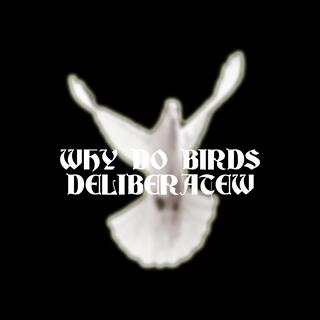 WHY DO BIRDS?