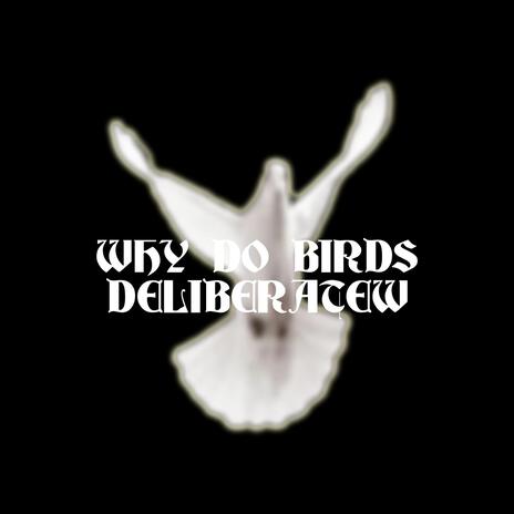 WHY DO BIRDS?