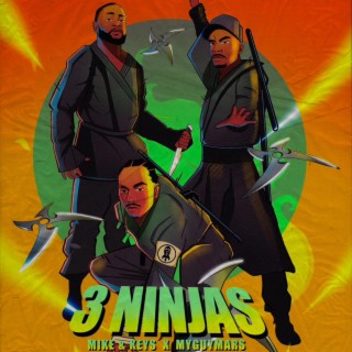 3 Ninjas