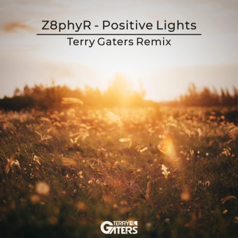 Positive Lights (Terry Gaters Remix) | Boomplay Music