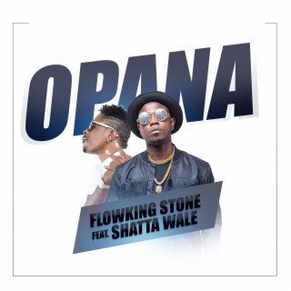 Opana (feat. Shatta Wale)