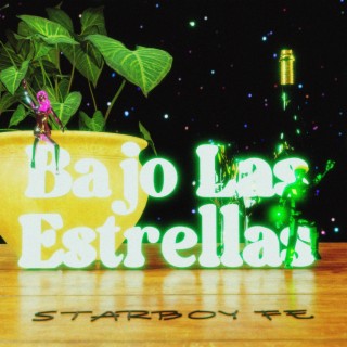 Bajo Las Estrellas lyrics | Boomplay Music