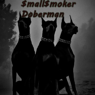 Doberman