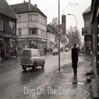 Dog On The Corner