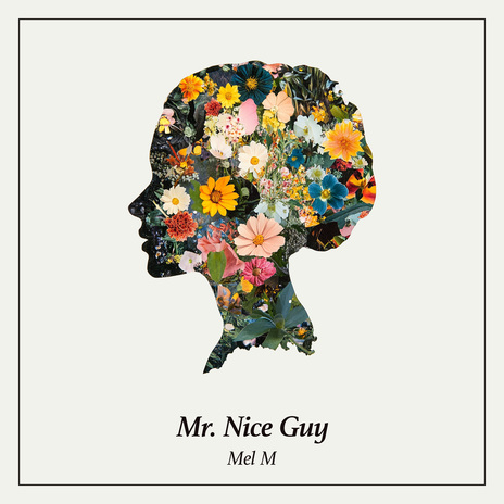 Mr. Nice Guy | Boomplay Music