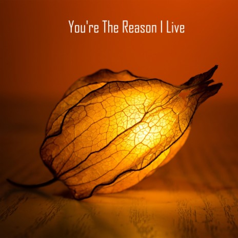 You're The Reason I Live | Boomplay Music