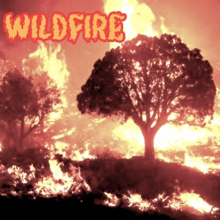 Wildfire