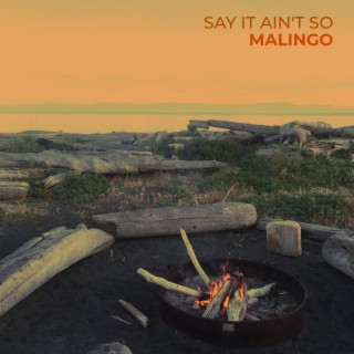 Say It Ain't So lyrics | Boomplay Music