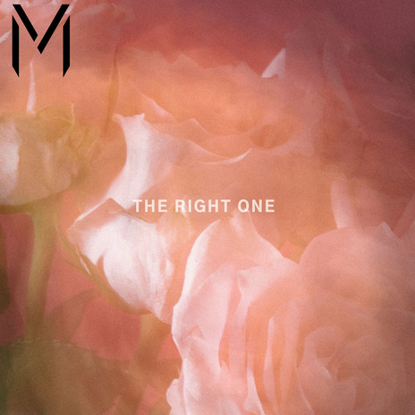 The Right One | Boomplay Music