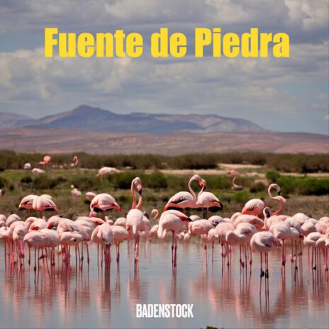 Fuente de Piedra | Boomplay Music