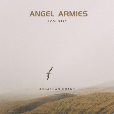 Angel Armies (Acoustic Version) | Boomplay Music