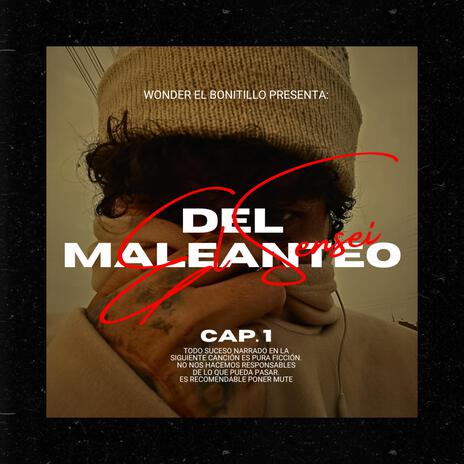 EL SENSEI DEL MALEANTEO | Boomplay Music