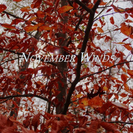 November Winds