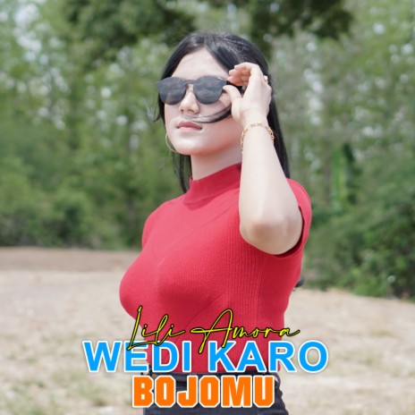 Wedi Karo Bojomu | Boomplay Music