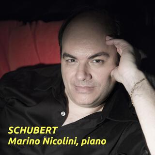 SCHUBERT Impromptus op 90, Sonatas op 120, op 143, Valses, Dances and more