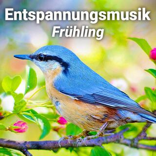 Entspannungsmusik Frühling