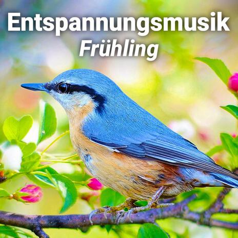 Warmer Frühlingstag