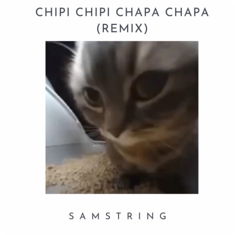 Chipi Chipi Chapa Chapa (SAMString Remix)