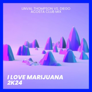 I love marijuana 2k24 (Club Mix)