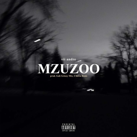 Mzuzoo | Boomplay Music