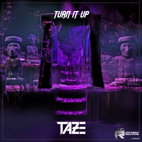 Turn It Up | Boomplay Music