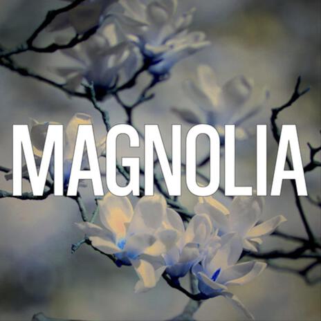 MAGNOLIA | Boomplay Music