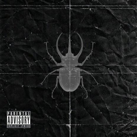 Beetle | Boomplay Music