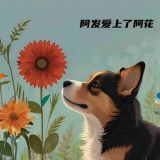 阿发爱上了阿花(伴奏） lyrics | Boomplay Music