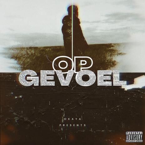 Op Gevoel | Boomplay Music