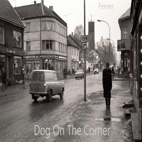 Dog On The Corner | Boomplay Music