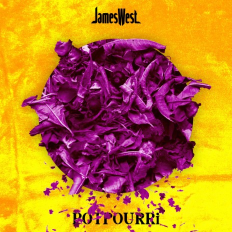 Potpourri ft. Nneka Uwaechie | Boomplay Music