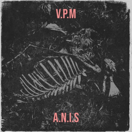 V.P.M | Boomplay Music