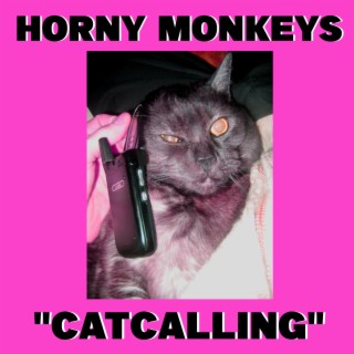 CATCALLING lyrics | Boomplay Music