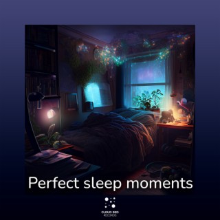 Perfect sleep moments