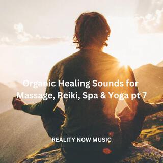 Organic Healing Sounds for Massage, Reiki, Spa & Yoga Pt. 7